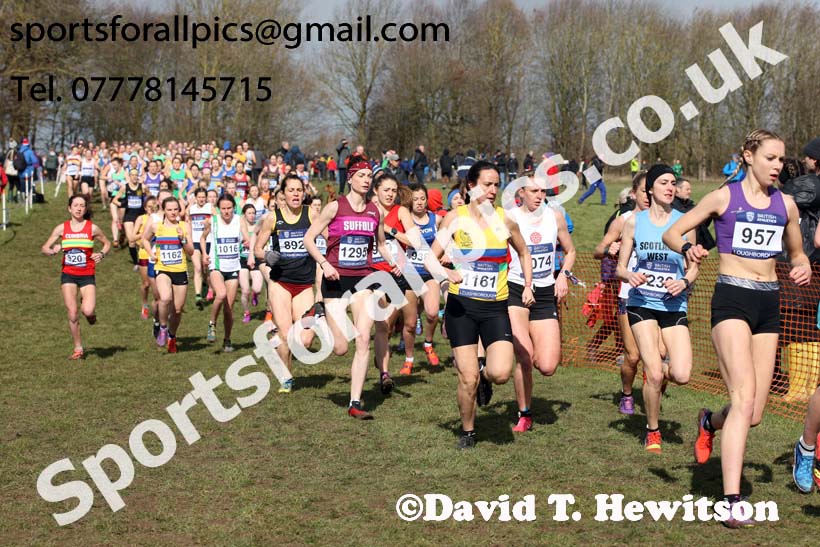 Senior womens 2019 British Athletics Inter Counties Cross Country, Prestwood Hall, Loughborough. Photo:  David T. Hewitson/Sports for All Pics
